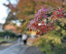 接客・販売員のための相談、疲れた心に寄り添います 顧客や従業員の相談、悩み、全てここで吐き出して下さい イメージ6