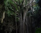あなただけの国内旅行プランおまとめします 旅行計画を考えるのが面倒な方、苦手な方は任せてください イメージ7