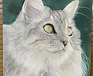 副業！ココナラ似顔絵で稼ぐ方法を動画にて解説します 似顔絵師になる為の全工程&ロードマップを16動画+αで解説！ イメージ7