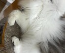 1分からでもOK!いつでも待ってます 疲れた時、お話ししたい時にどうぞ〜 イメージ3