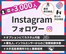 インスタグラム★フォロワー【3000人】増加します 安心の保証付☆＋3,000人 2,000円☆でご提供中！！ イメージ1