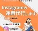 1か月／Instagram運用代行致します 法人様、個人様多数対応いたします！運用、集客お任せください！ イメージ1