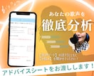 アドバイスシート☆今の歌声を分析、練習法伝えます レッスン実績200名以上！音源を送るだけで簡単にレッスン受講 イメージ1