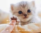 LINE感覚でチャット相談ꕤ︎︎雑談・愚痴聞きます こんなこと話していいのかな？大丈夫ꕤ︎︎*全部受け止めます イメージ4