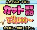 AI不使用！丁寧に人力でカットします 面倒なカット作業、お任せください。 イメージ1