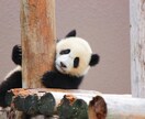 サンプルボイスあり〉看護師があなたに寄り添います 誰かに話したくても話せなくて辛いあなたの気持ちを受け止めます イメージ7