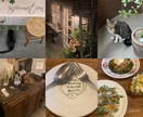 カフェやお店のInstagramを運用ます カフェのSNS運用をやさしくお手伝いします イメージ4