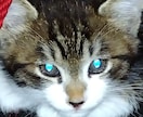 依存症家族、当事者受け付けます 依存症に関わる仕事をしています。回復はあります。 イメージ1