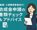 助成金、補助金申請の書類チェック＆アドバイスします 創業助成金や各種補助金など、どんな内容でも親身になって イメージ1
