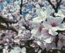 風景やカフェ等のお洒落な写真を提供します 女性や男性を問わず、「お洒落」「素敵」が好きな方向けに イメージ1