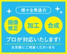 プロ対応★様々な用途の画像修正/加工/合成します 現役のプロが様々な画像のご依頼（秘密厳守）に対応致します イメージ1