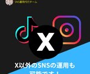 Xの戦略設計〜投稿・反応対応まで一貫サポートします 成果直結型X運用代行｜戦略設計〜投稿・反応対応までサポート イメージ2