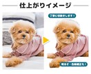 EC画像や資料に！写真の切り抜き加工承ります EC画像作成歴10年以上のデザイナーが丁寧に加工します！ イメージ2