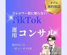 成果にコミットするTikTok運用をコンサルします TikTokの正しい活用方法を学べるサービスです！ イメージ1