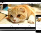 可愛い猫ちゃんページをWordpressで作ります 低予算でも本格的な猫ちゃんページを猫派のあなたに イメージ1