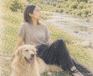 写真を絵本のようなイラストにします 大切な人や愛犬との思い出を一枚の絵に。 イメージ2