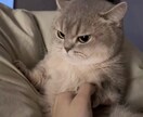 大切な家族の思い出をイラストにします 大切なペットを温もりある可愛いイラストに イメージ6