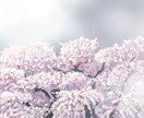クオリティの高いイラストを描きます アイコン、1枚絵など、ご希望のイラストをお届けいたします。 イメージ10