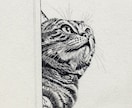 プロが世界に一枚のリアルなペット鉛筆画を描きます 昆虫・魚類・両生類・爬虫類・鳥類・哺乳類まで全対応します イメージ1