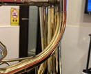 バストロンボーン で何でもレコーディングします 音楽大学卒業生です！低音楽器のレコーディングします！ イメージ1