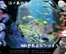 ちょっとしたチラシ・フライヤー制作します 社会勉強のため最安値で案件をお受け致します イメージ1