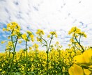 ムダに悩まない、こうすればもっと楽に生きられます 自分で自分を苦しめているかも思い込み、先入観、勘違いでは？ イメージ2