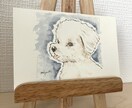 原画配送うちの子ペット水彩画イラスト描きます シックな雰囲気から絵本風まで。犬猫鳥うさぎハムスター イメージ4