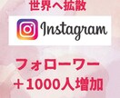 Instagramフォロワー+1000人増やします Instagram全世界に拡散！1000人迄増える迄サポート イメージ1