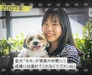 写真が動く!?感動のプロフィールムービーを作ります AIで懐かしい写真を動かし、あの時の思い出と感動を蘇らせます イメージ3