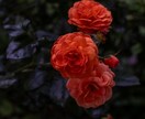 諦める？待つ？あなたの復縁の可能性を明らかにします もう一度、彼の隣に戻るために。復縁のチャンスを見極める イメージ4