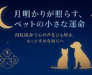 四柱推命で大事な家族を理解し、絆を深めます 性格・相性・運勢まで！ペット専用四柱推命 イメージ1