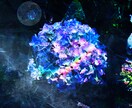 世界に一枚だけの特別なフォトデザインを制作します 各記念日、お祝い、大切な人へのプレゼントに最適な一枚です。 イメージ8