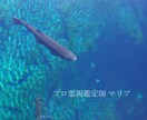 コーナス愛＊秘術縁結びいたします 洗練された秘術であなたとあの人の魂を結びます。 イメージ7