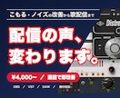 配信のマイク設定の音質を聴いてその場で改善します 最短即日、ゲーム実況、歌枠など目的、声質に合わせて音質改善 イメージ1