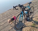自転車(スポーツバイク)選び、パーツの取り替えなんでもご相談ください イメージ1