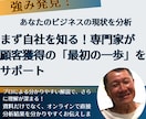 強み発見！現状分析レポート制作・解説します まず自社を知る！専門家が顧客獲得の「最初の一歩」をサポート イメージ1