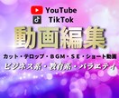 YouTube・TikTokなど動画編集代行します ジャンル問わず対応いたします！ イメージ1