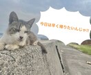 電話かけて早く帰れるようにします 〜今日は自分の時間を大事にしたい日〜 イメージ1