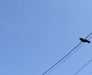 田舎の写真を一眼レフカメラで撮影します 都会の方や絵を描いていてモデル風景をお探しの方におすすめです イメージ10
