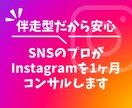 SNSのプロが1ヶ月インスタグラムのコンサルします 目的に応じたプロフィール添削、投稿添削、導線設計を行います! イメージ1