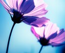 疲れた心をほぐす時間❀気持ちを全部受け止めます 話して発散！／雑談も◎明日からまた頑張りたいあなたに イメージ6