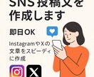即日OK！SNS投稿文を作成します InstagramやXの文章をスピーディに作成 イメージ1