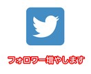 Twitterフォロワー +1000増やします 懸賞でない高品質アクティブユーザーを増やします！ イメージ1