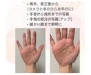手相鑑定◯✳︎ 手のひらからあなたを応援します 自己理解から、あなたらしい一歩を イメージ3