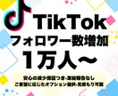 TikTokのフォロワー数を1万人増加させます 11月限定価格★12時間以内返信★ イメージ1