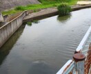 撮影します 素材写真を撮影して提供します。 イメージ4