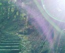 遠隔でレイキとクレニオを融合したヒーリングをします NZで培ったヒーリング。大切なペットとあなたに寄り添う癒やし イメージ3