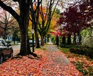 カナダの自然の写真売ります カナダに10年住んでいる私のお気に入りな綺麗な景色たち イメージ5