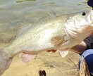 バス釣りの悩みお答え致します 元バスプロがバスフィッシングの悩みを解決 イメージ1