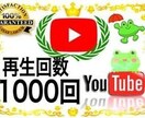 YouTube再生回数が増えるよう宣伝します YouTube再生回数が3000回増えるまで宣伝し続けます！ イメージ1